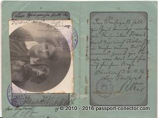 Girl with dog passport photo, Germany 1916